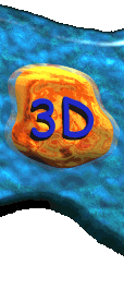 3D World